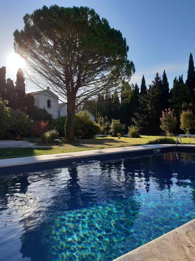 Remy A Dit Saint-Rémy-de-Provence Dış mekan fotoğraf