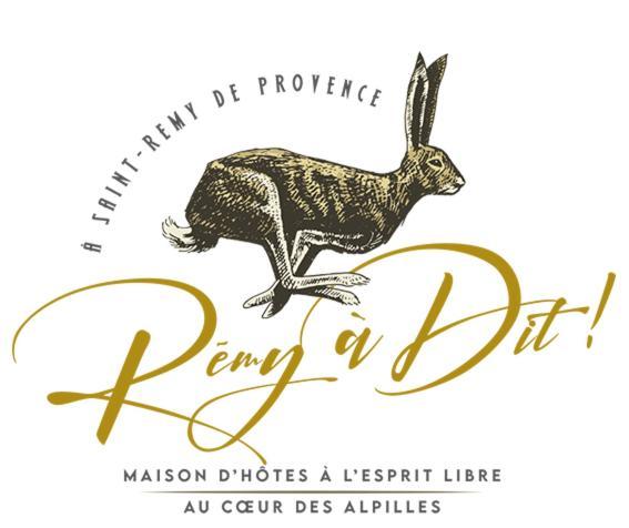 Remy A Dit Saint-Rémy-de-Provence Dış mekan fotoğraf