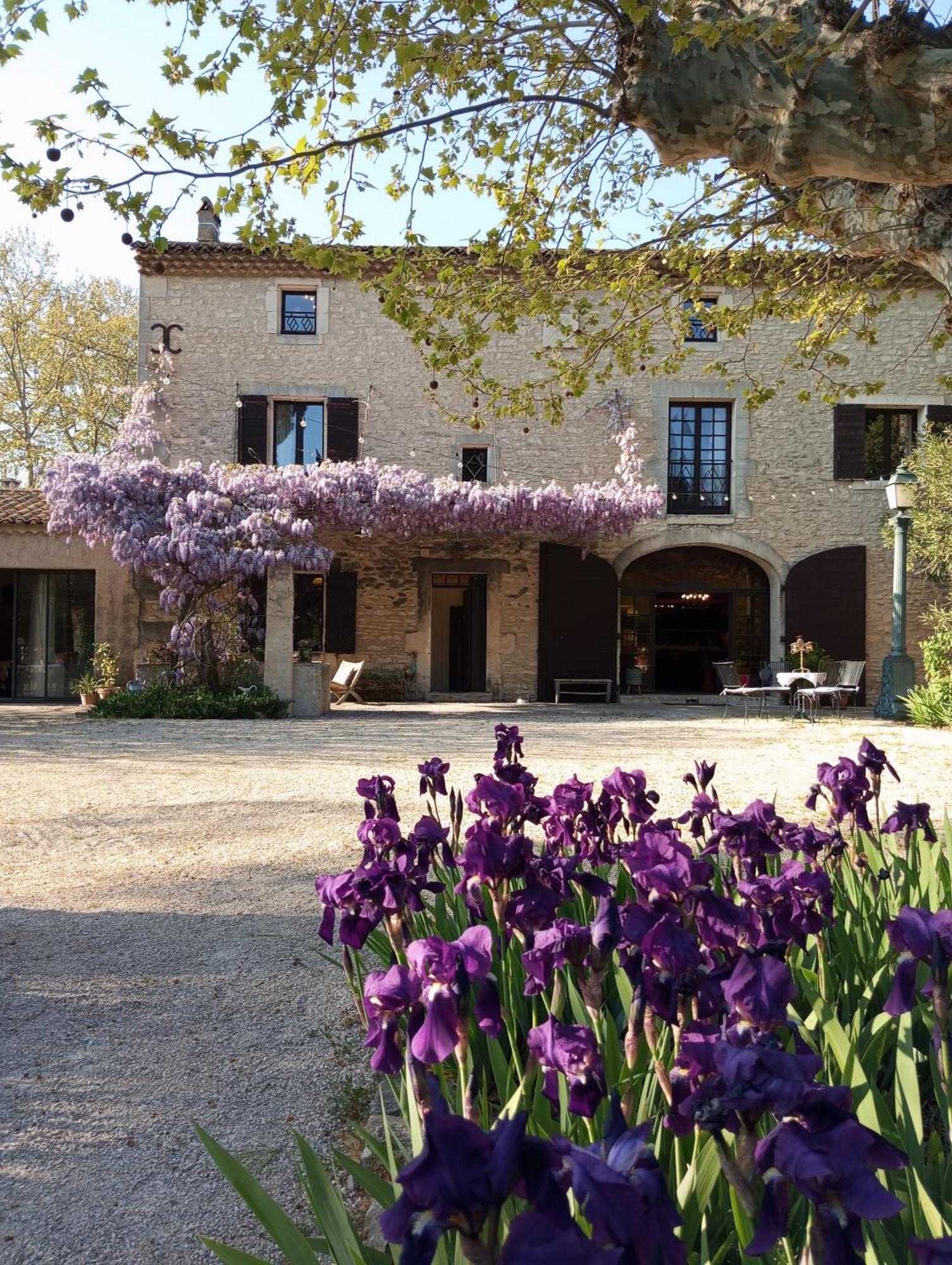 Remy A Dit Saint-Rémy-de-Provence Dış mekan fotoğraf
